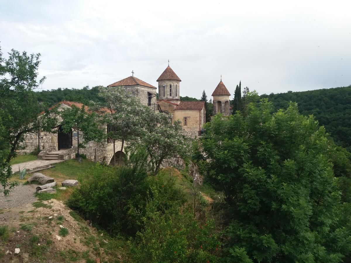 Гостевой дом Guest House Darejani Кутаиси-25