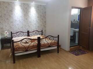 Гостевой дом Guest House Darejani Кутаиси Двухместный номер с 2 отдельными кроватями и собственной ванной комнатой-1